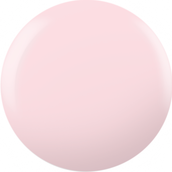 CND� SHELLAC - Backyard Nuptials